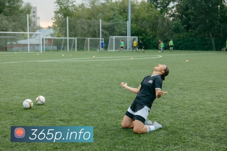 多终端兼容